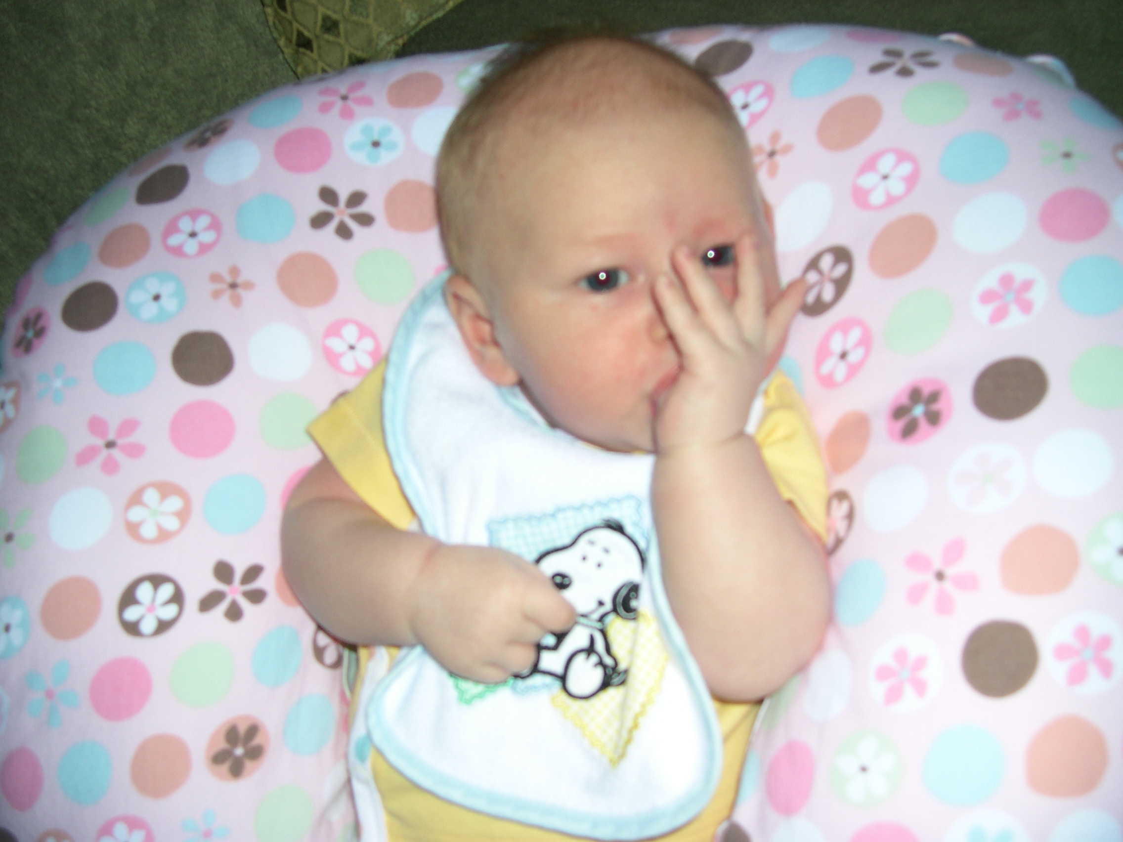 dscn0345.JPG